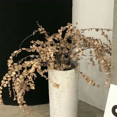 兽设梦幻风格创作FurryQQ群